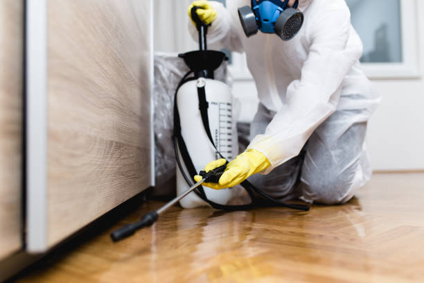 Best Pest Inspection Near Me  in Platte, SD