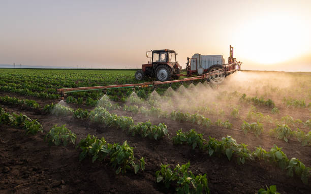 Best Ant Control Services  in Platte, SD