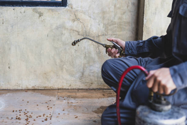 Best Best Pest Control Companies  in Platte, SD